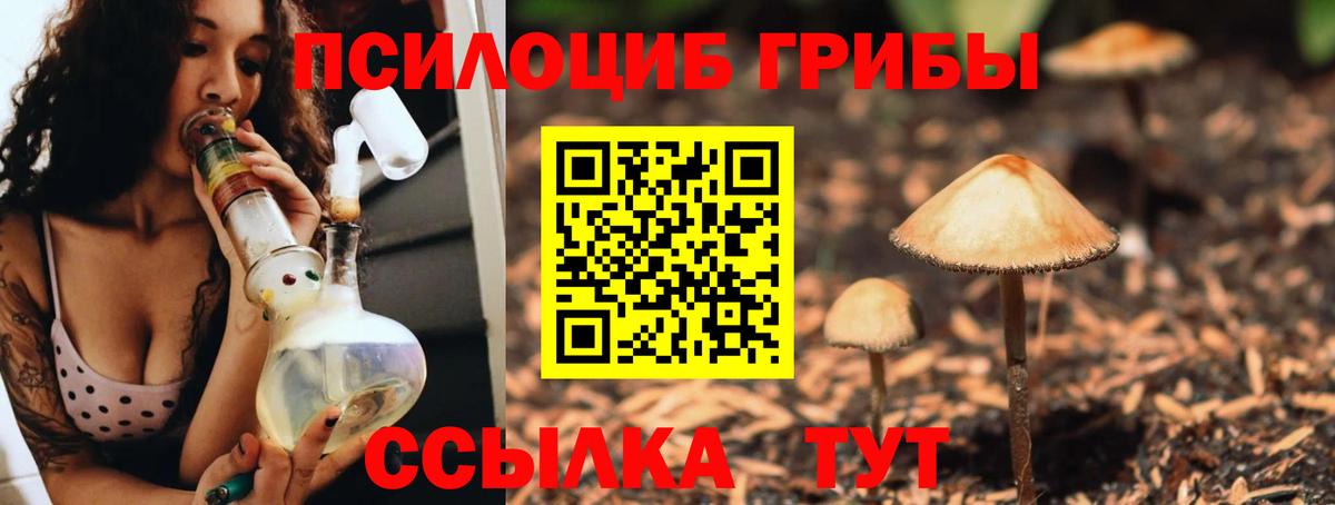 Югорск  Галлюциногенные грибы GOLDEN TEACHER  Вход с VPN 