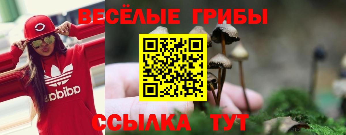 Псилоцибиновые грибы Cubensis Югорск